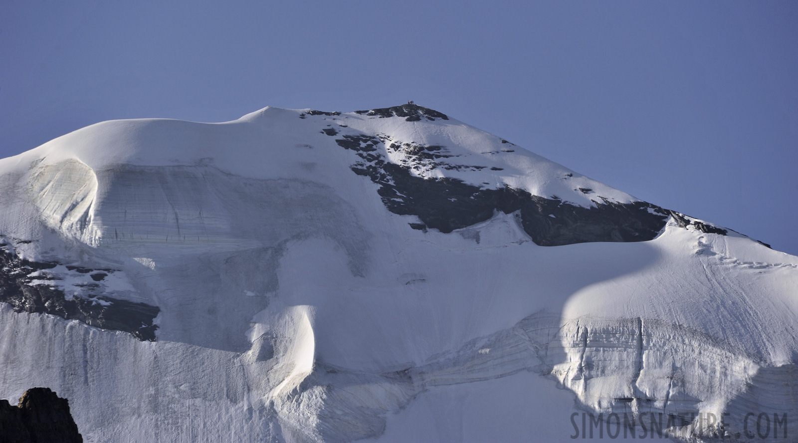 Looking back to the summit of Blüemlisalp 